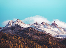 yl23455永利官网-NYBO官方更新动态,回顾U8组别冠军精彩集锦